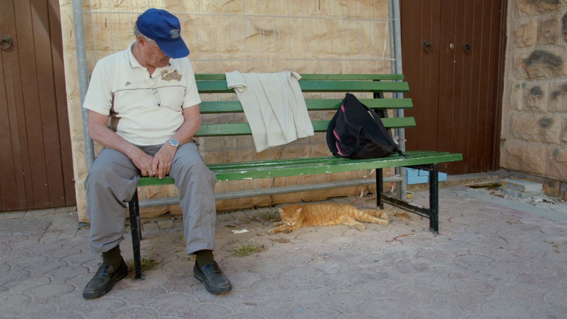 野良猫と人間が共存する“奇跡の島”の物語『ねこしま』に山下大輝、藤あや子、カレー沢薫ら各界著名人から絶賛コメント到着