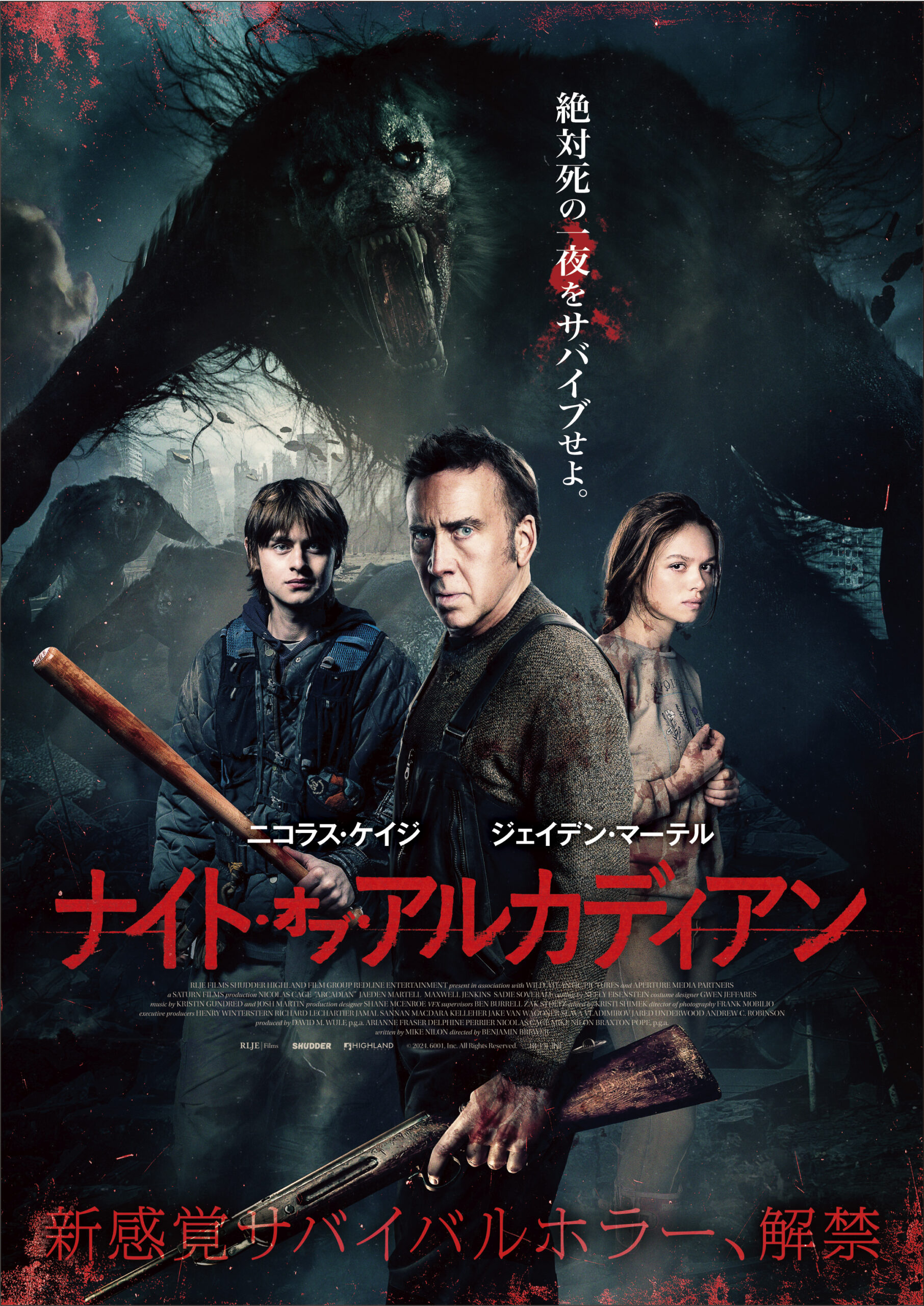 命ある限り(´12インド) DVD