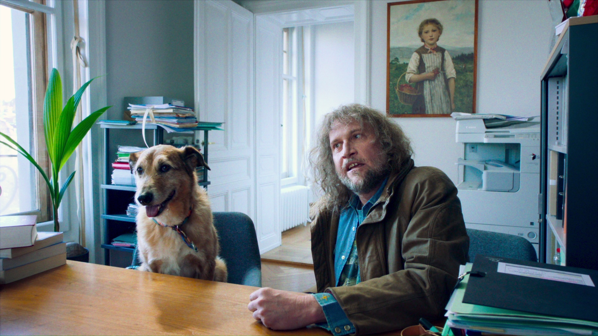 被告は犬!? 前代未聞の“犬の裁判”を描く、実話にインスパイアされた法廷コメディ『犬の裁判』予告編解禁