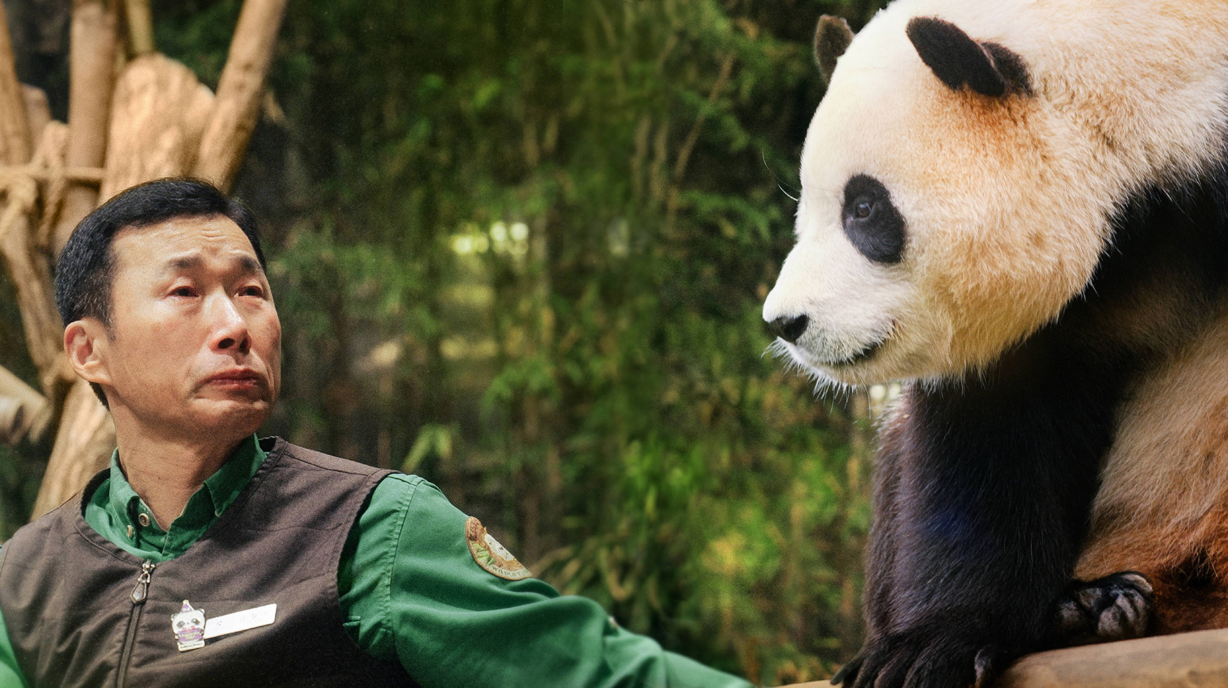 “フーバオのおじいちゃん”から日本の皆さんへ『私の親愛なるフーバオ』カン・チョルウォン飼育員のメッセージ映像が到着