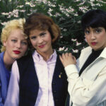 80年代に日本でも人気爆発! フィービー・ケイツ映画特集「ぼくらの青春アイドルスター フィービー・ケイツ」アンコール決定