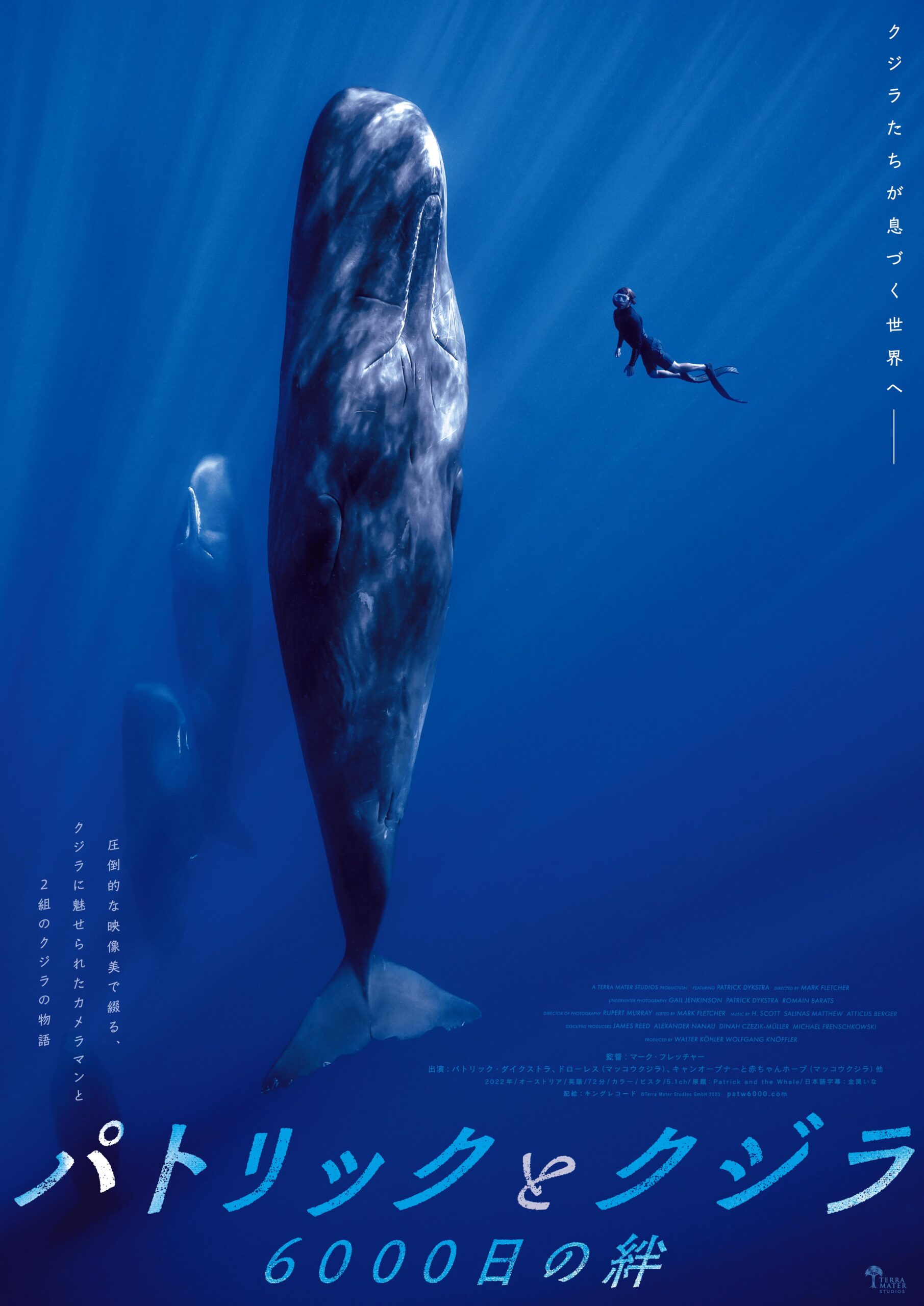 クジラに魅せられたカメラマンと2組のクジラの友情物語『パトリックとクジラ 6000日の絆』公開決定&予告編解禁