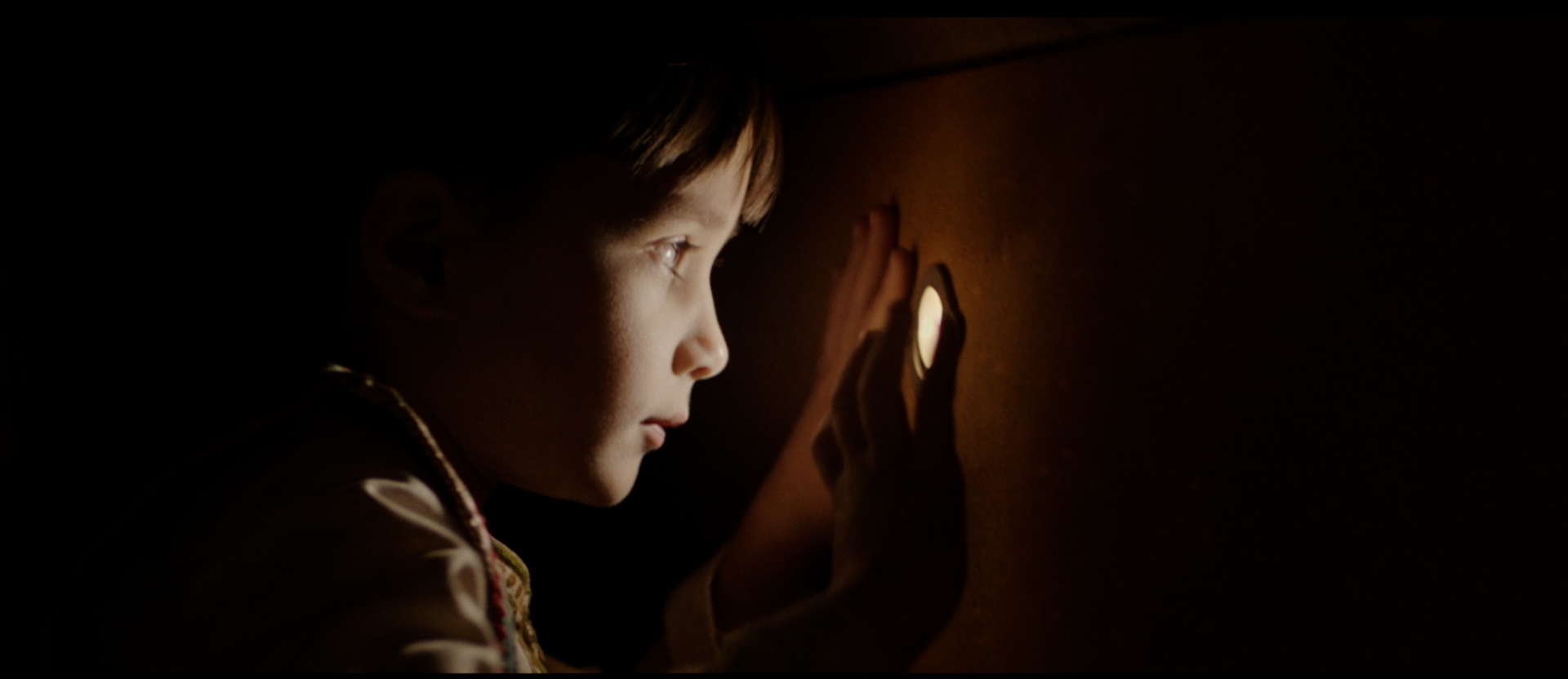 母の言葉を胸に、少年はたった一人アメリカへ『アメリカッチ　コウノトリと幸せな食卓』本編冒頭映像＆著名人コメントが解禁