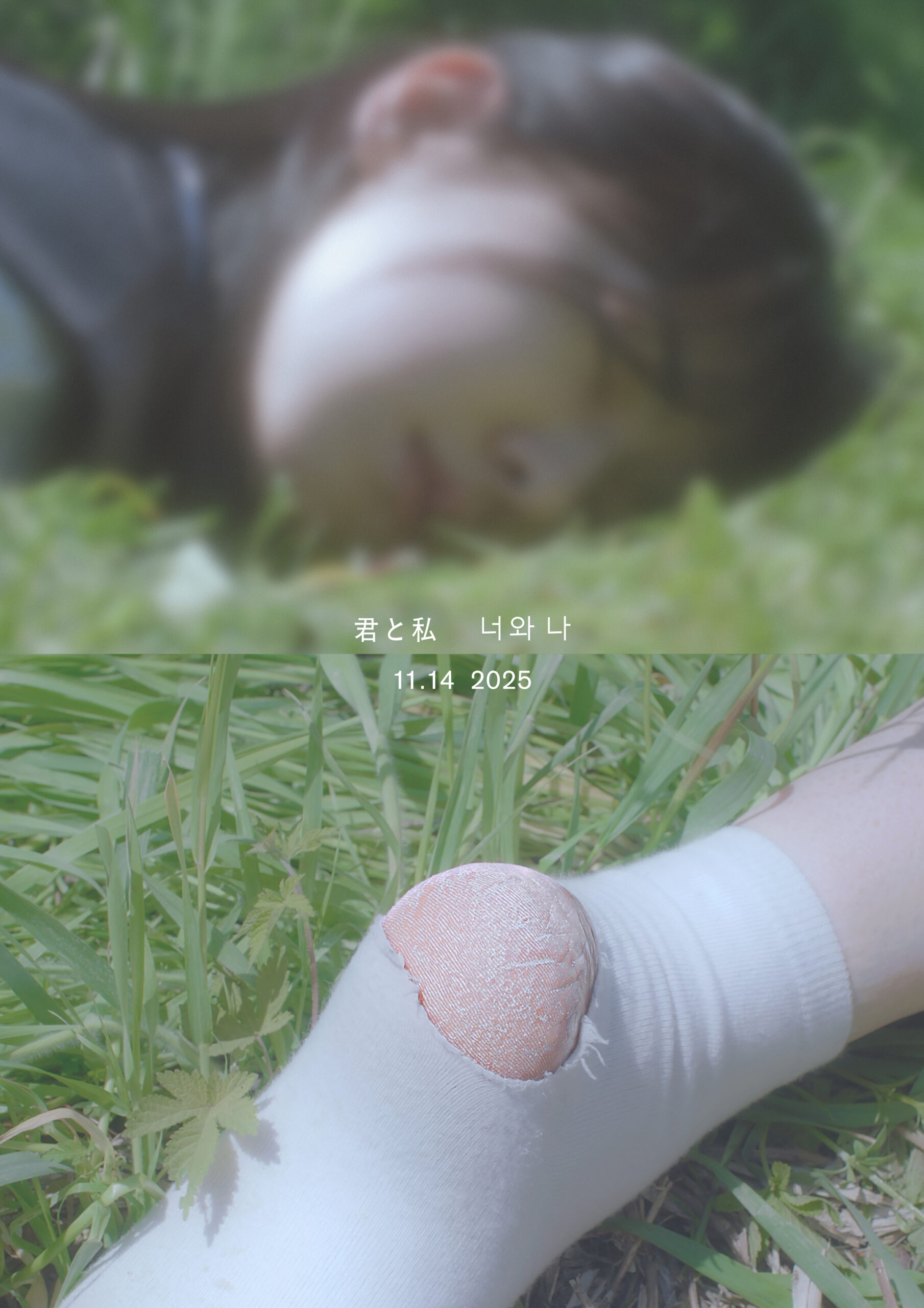 セウォル号沈没事故を題材に、修学旅行を明日に控えた2人の少女の恋模様を描く『君と私』ティザーポスターと特報が解禁