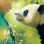 韓国生まれの人気パンダ、フーバオの感動ドキュメンタリー『私の親愛なるフーバオ』10月28日「パンダの日」にDVD発売決定