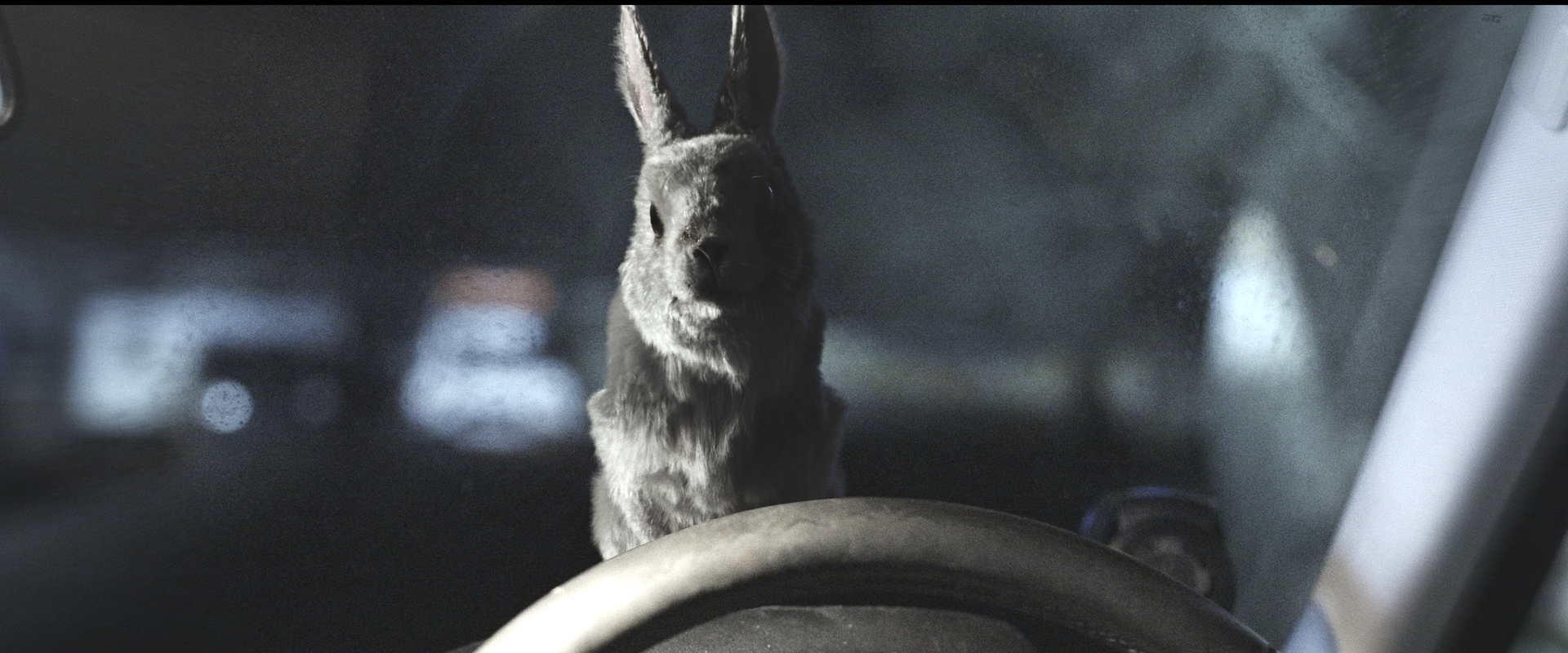 バンビのウサギの相棒“とんすけ”も狂獣化!?『子鹿のゾンビ』場面写真解禁 松尾貴史、人間食べ食べカエルから絶賛コメント到着