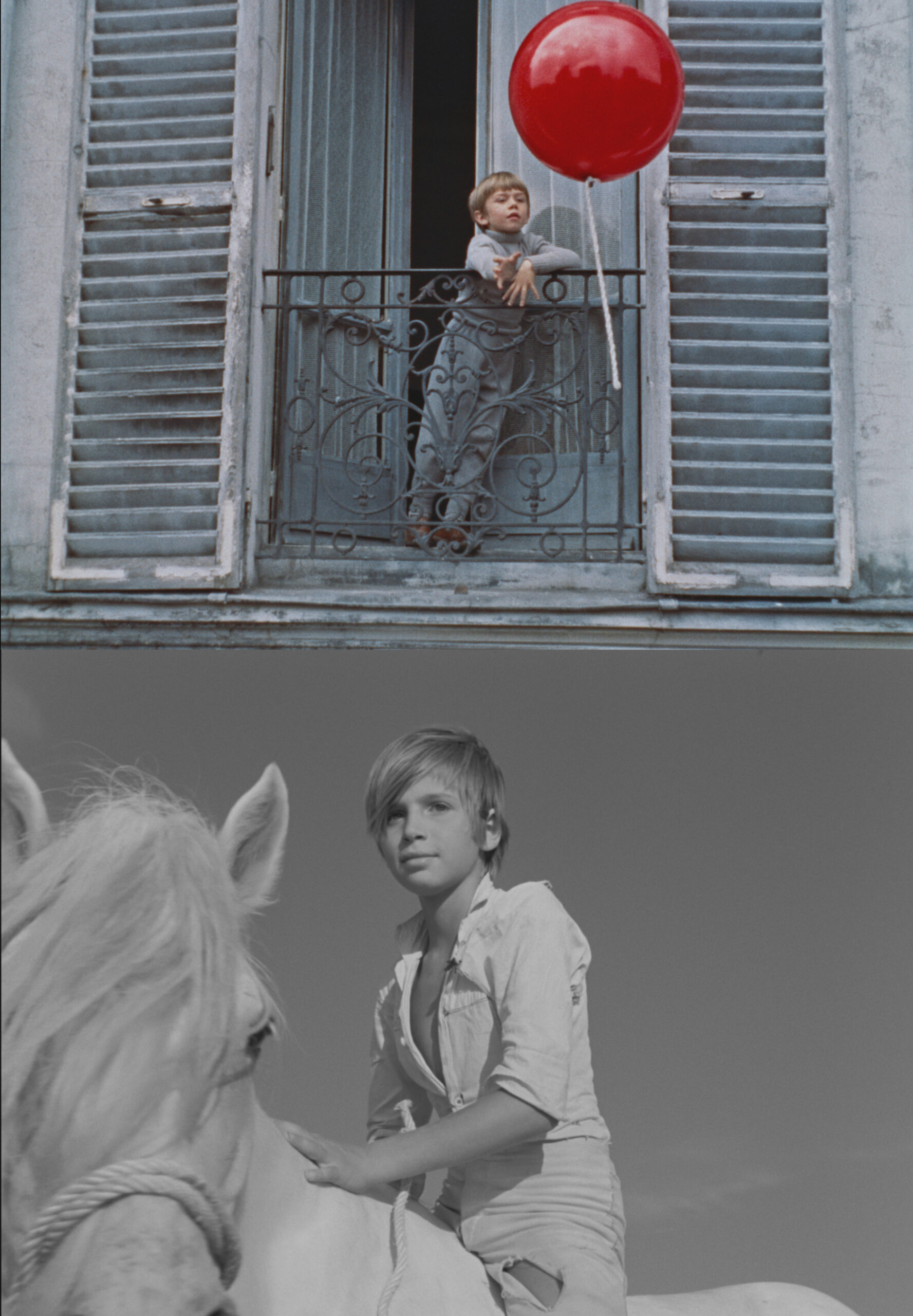 アルベール・ラモリス監督の不朽の名作2本が4Kで甦る『赤い風船 4K』『白い馬 4K』11月14日より2本立て上映決定