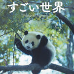 10月28日はパンダの日！　シャンシャンの暮らす四川などを舞台に知られざるパンダの一生を描く『パンダのすごい世界』2026年2月公開決定