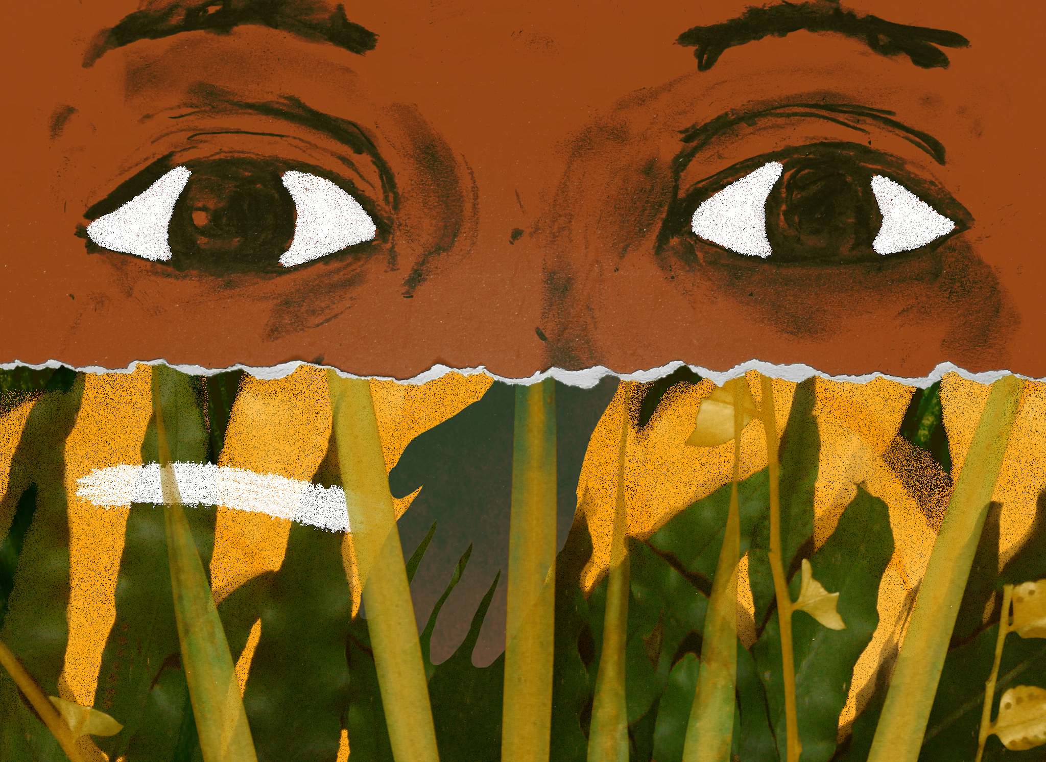 「羅生門効果」のエッセンスを多彩な映像で表現　世界を幻惑したアニメーションおとぎ話『オリビアと雲』予告編が解禁