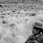 「差別と暴力――アンデスの女性が置かれた現実が渦巻く」2024年アカデミー賞国際長編映画賞ペルー代表『少女はアンデスの星を見た』予告編が解禁