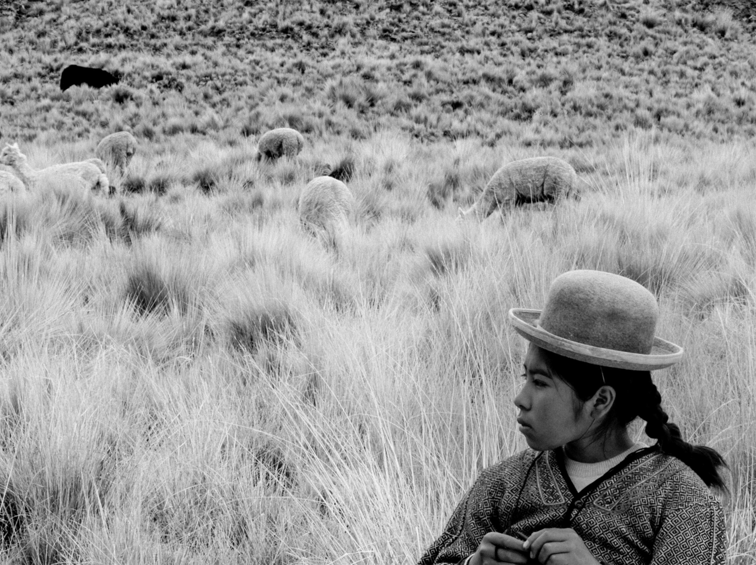 「差別と暴力――アンデスの女性が置かれた現実が渦巻く」2024年アカデミー賞国際長編映画賞ペルー代表『少女はアンデスの星を見た』予告編が解禁