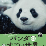 シャオシャオ＆レイレイはどこへ向かう？　パンダの知られざる一生を辿る物語『パンダのすごい世界』本ビジュアル＆ティザー予告編解禁