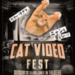 映画館で“ネコ”を大量摂取する73分『CatVideoFest』2月に期間限定で日本初上陸　予告編＆ポスタービジュアル解禁