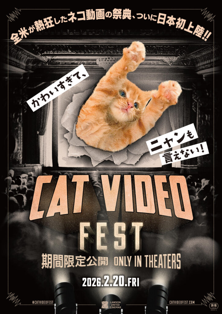 映画館で“ネコ”を大量摂取する73分『CatVideoFest』2月に期間限定で日本初上陸　予告編＆ポスタービジュアル解禁